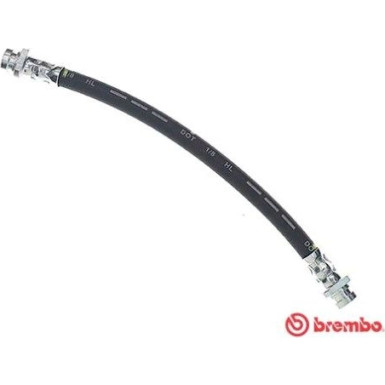 Brembo | Bremsschlauch | T 15 001