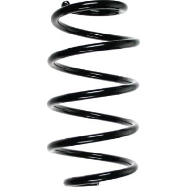 Spidan | Fahrwerksfeder | 56842