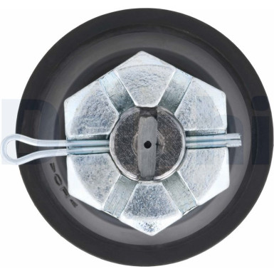 Delphi | Trag-/Führungsgelenk | TC2061