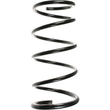 Spidan | Fahrwerksfeder | 55876