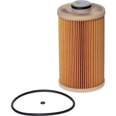 Hengst Filter | Kraftstofffilter | E490KP D484