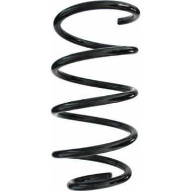 Spidan | Fahrwerksfeder | 87273
