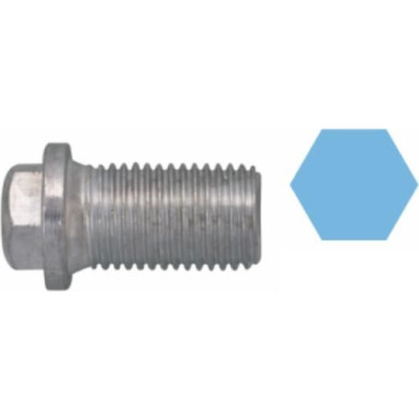 220120S Verschlussschraube, Ölwanne