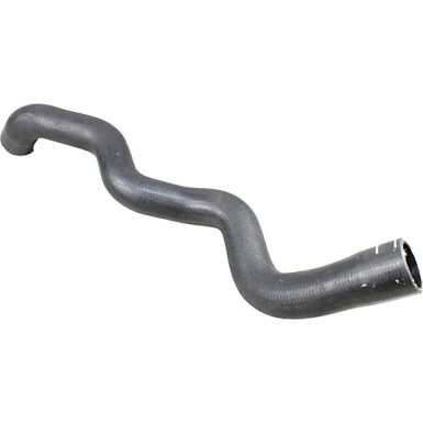 2420926 Kühlerschlauch ORIGINAL ERSATZTEIL 2420926 Kühlerschlauch ORIGINAL ERSATZTEIL