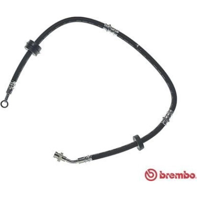 Brembo | Bremsschlauch | T 79 009