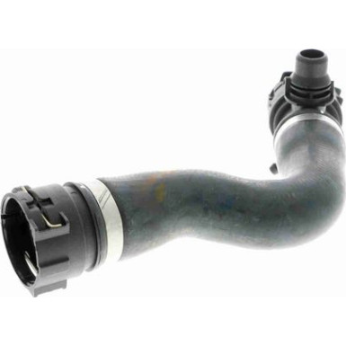 Vaico | Kühlerschlauch | V20-1301