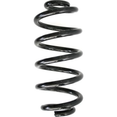 Spidan | Fahrwerksfeder | 86593