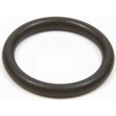 BOSCH | Dichtring | F 00R J01 482
