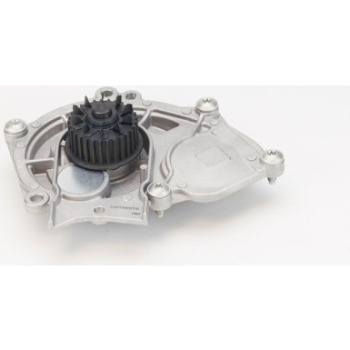 WP6122 Wasserpumpe, Motorkühlung