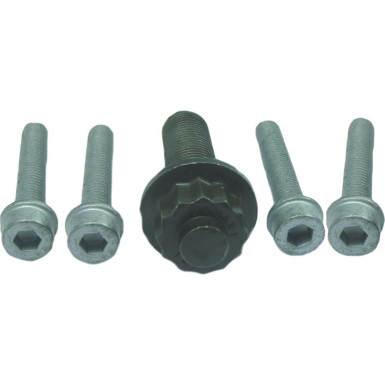 80001253 Schraubensatz, Riemenscheibe-Kurbelwelle