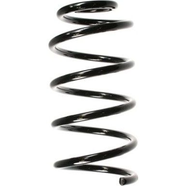 Spidan | Fahrwerksfeder | 55756
