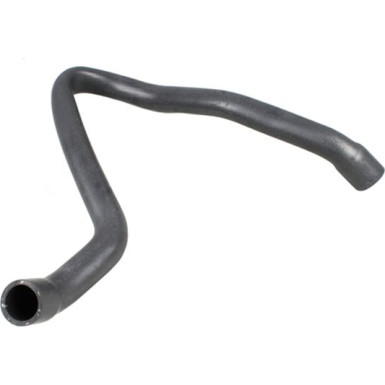 2420811 Kühlerschlauch 2420811 Kühlerschlauch