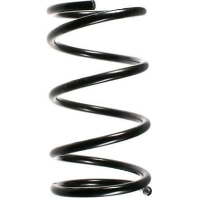 Spidan | Fahrwerksfeder | 55348