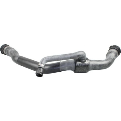 2420822 Kühlerschlauch 2420822 Kühlerschlauch