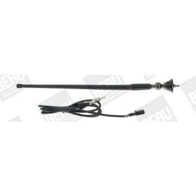 BorgWarner (BERU) | Antenne | A103S