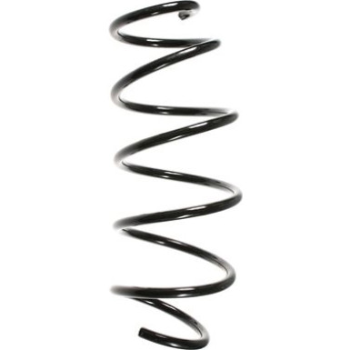 Spidan | Fahrwerksfeder | 49628
