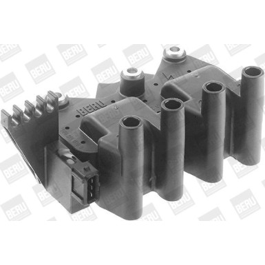 BorgWarner (BERU) | Zündspule | ZS029
