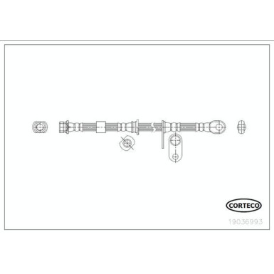 Corteco | Bremsschlauch | 19036993 Corteco | Bremsschlauch | 19036993