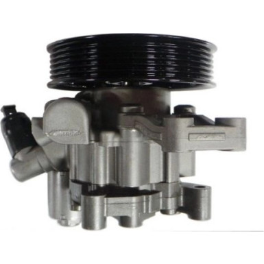 Spidan | Hydraulikpumpe, Lenkung | 54589