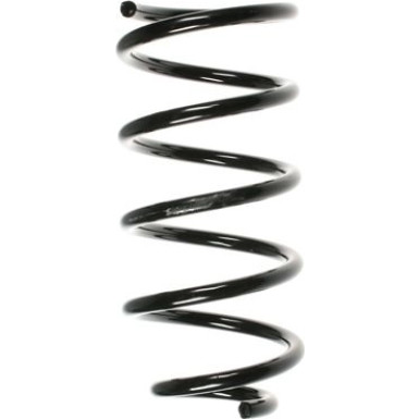 Spidan | Fahrwerksfeder | 49617