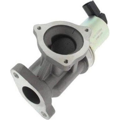 Magneti Marelli | AGR-Ventil | 571822112012