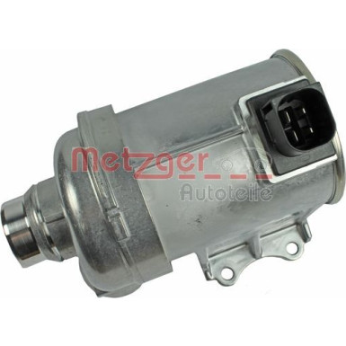 Metzger | Wasserpumpe, Motorkühlung | 4007021