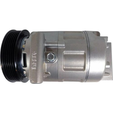 Mahle | Kompressor, Klimaanlage | ACP 169 000S