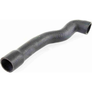 Vaico | Kühlerschlauch | V20-1239