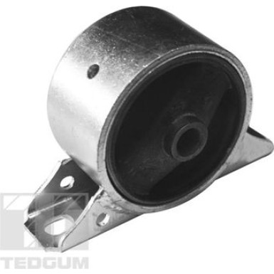 Tedgum | Lagerung, Motor | 00747139