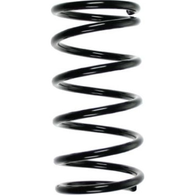 Spidan | Fahrwerksfeder | 49572