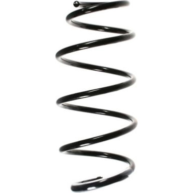 Spidan | Fahrwerksfeder | 55965