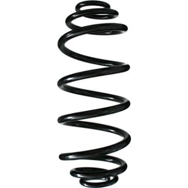Spidan | Fahrwerksfeder | 55972