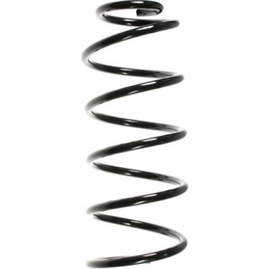 Spidan | Fahrwerksfeder | 49548