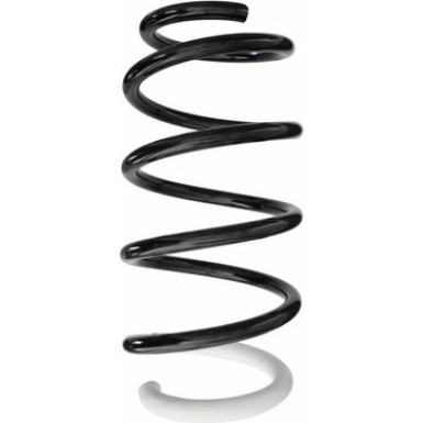 Spidan | Fahrwerksfeder | 87226