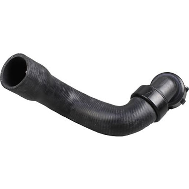 2420268 Kühlerschlauch