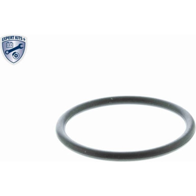 V15-99-1983-1 Thermostat, Kühlmittel EXPERT KITS +
