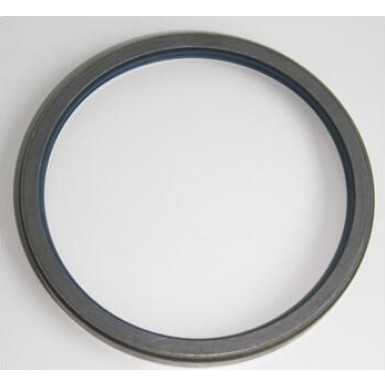 12017296B Wellendichtring, Radnabe