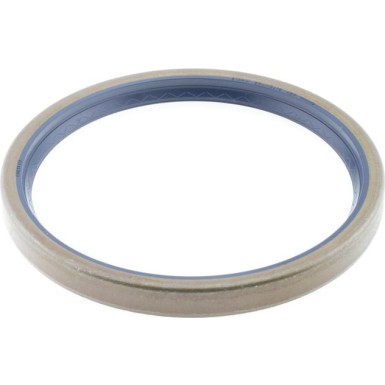 07013389B Wellendichtring, Radnabe