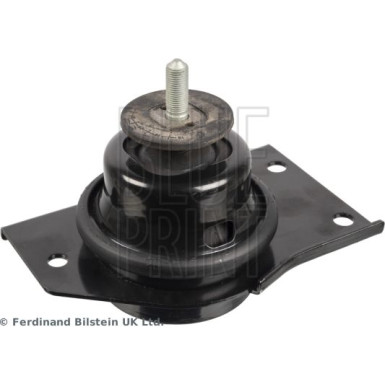 Blue Print | Lagerung, Motor | ADBP800042