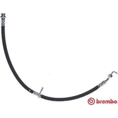 Brembo | Bremsschlauch | T 59 084