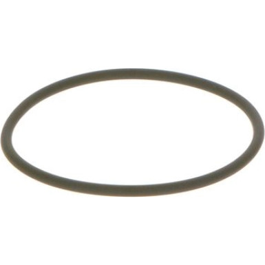 BOSCH | Dichtring | F 00N 201 306