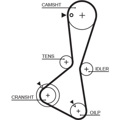 5374XS Zahnriemen PowerGrip™