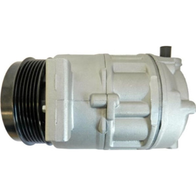 Mahle | Kompressor, Klimaanlage | ACP 344 000S