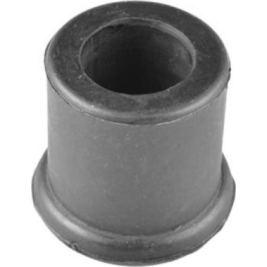 Tedgum | Lagerung, Blattfeder | 00465620