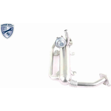 V10-63-0100 Kühler, Abgasrückführung EXPERT KITS +