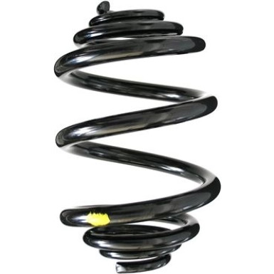 Spidan | Fahrwerksfeder | 48811