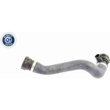 Vaico | Kühlerschlauch | V20-0865