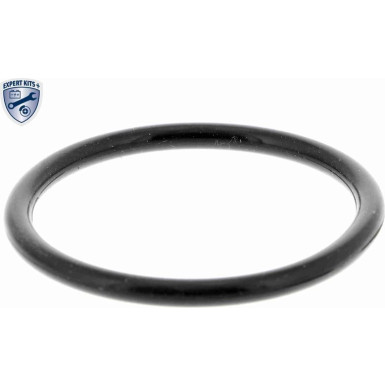 V15-99-2031 Thermostatgehäuse EXPERT KITS +