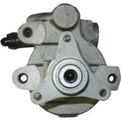 Spidan | Hydraulikpumpe, Lenkung | 53939