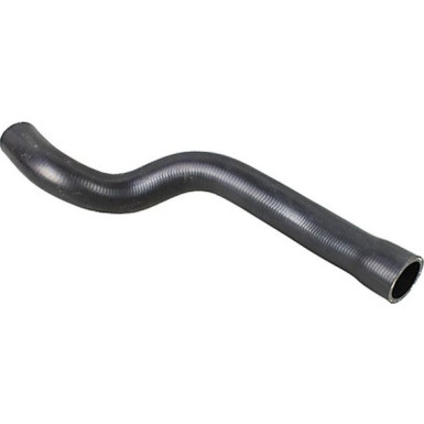 2420968 Kühlerschlauch